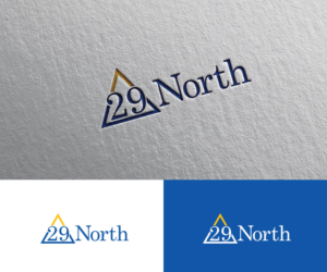 29North | Logo Design by Iris 3