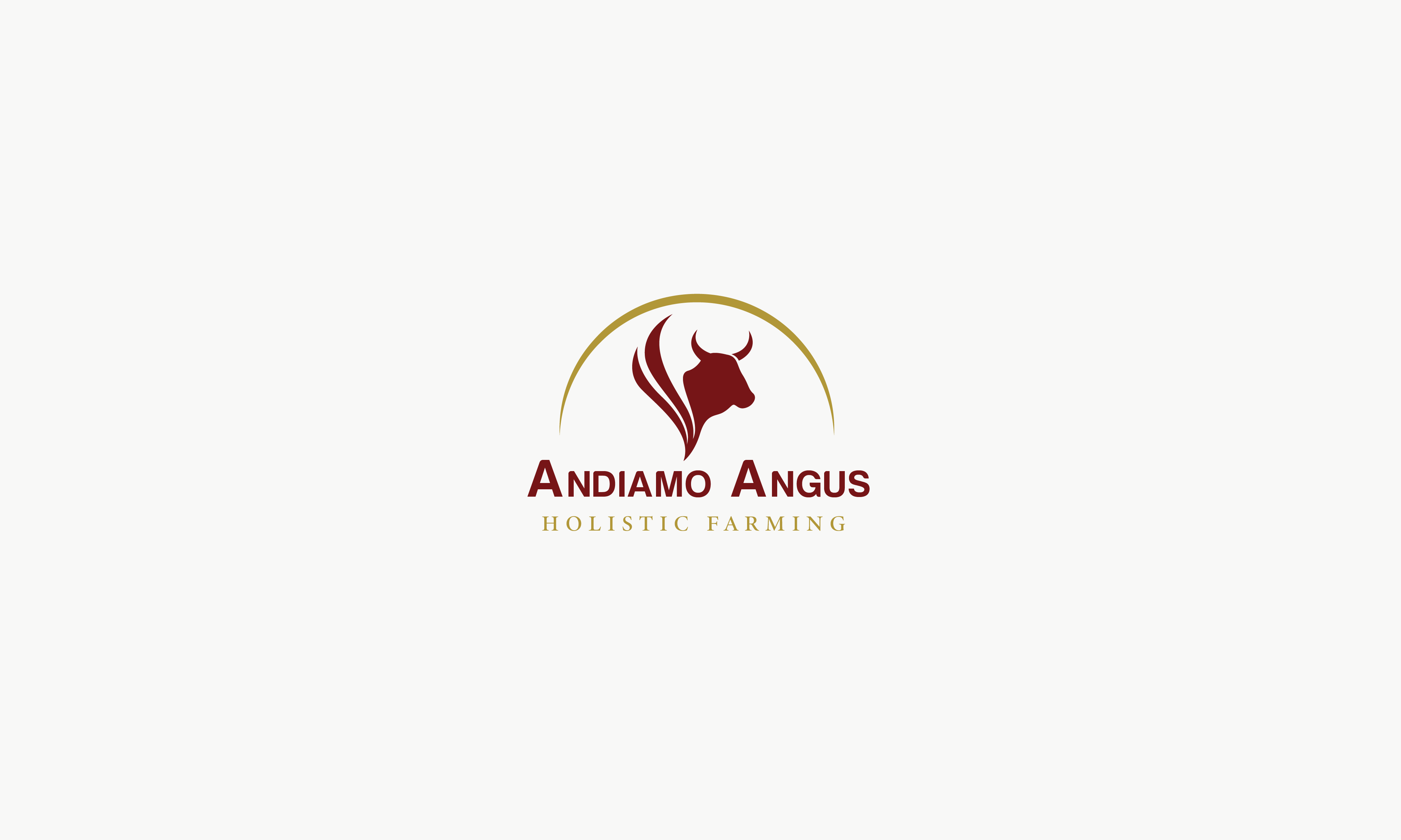 Logo Design by rafikrdhaounia 2 for this project | Design #27472129