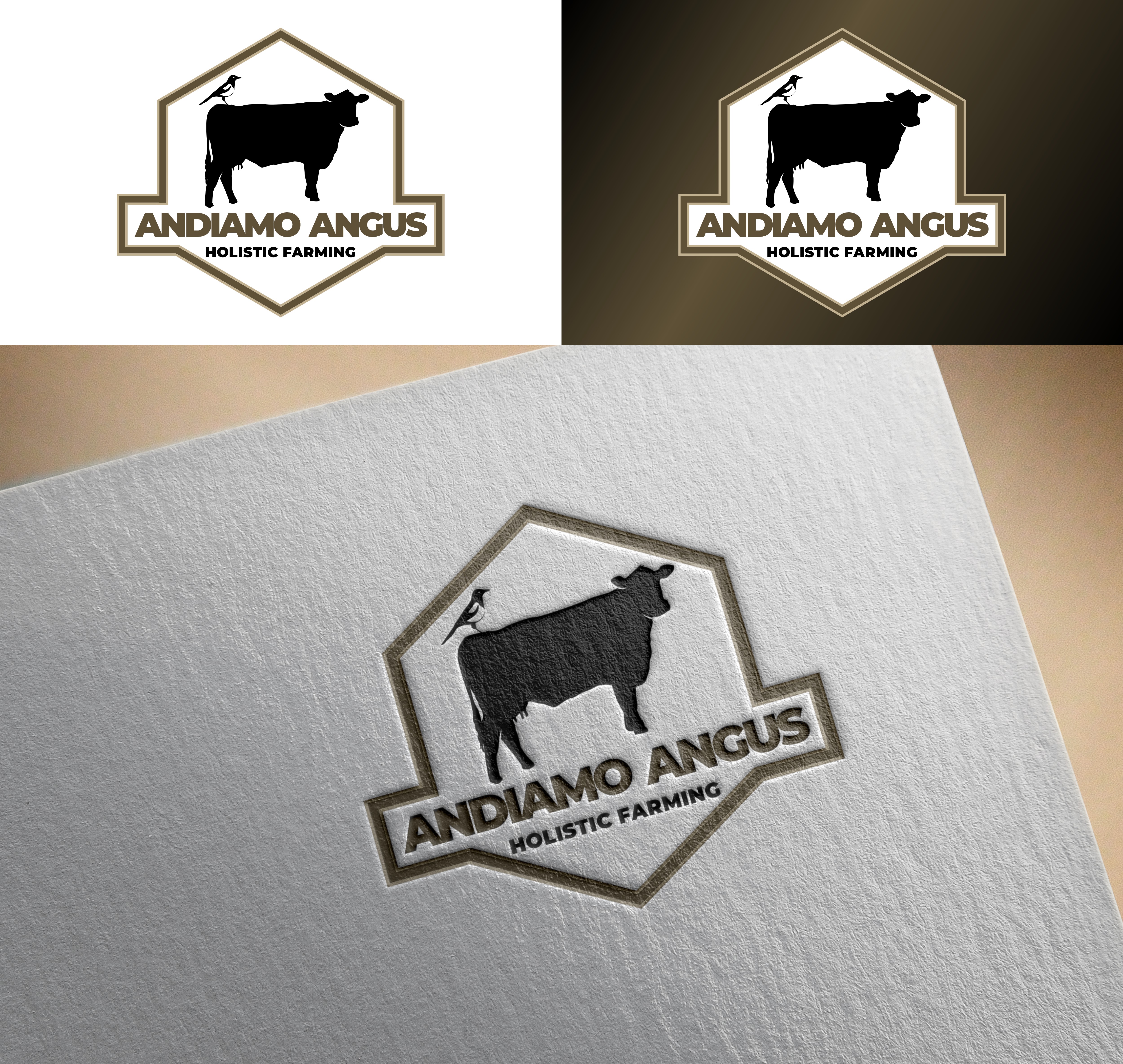 Diseño de Logo por gorant para este proyecto | Diseño #27440007