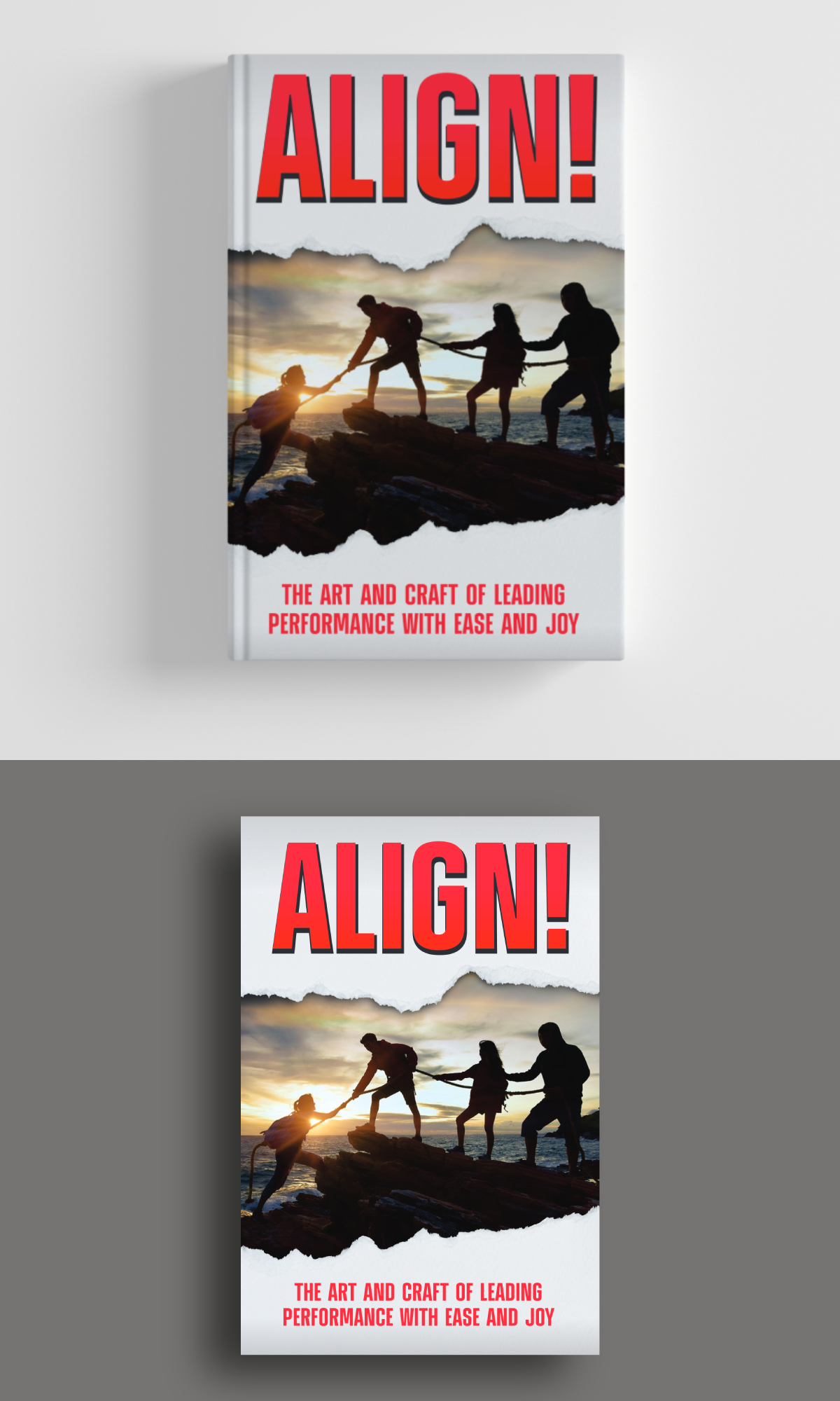 Book Cover Design by ecorokerz for this project | Design #27496397