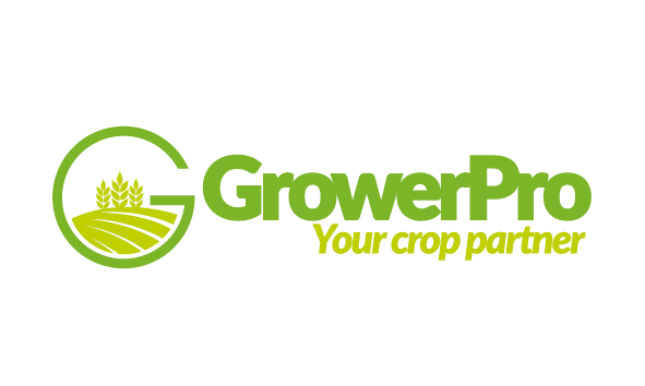 Logo Design by patriciaparadesign for this project | Design #27495655