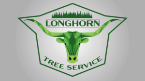 Logo Design by Edge Design UK