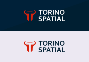 Logo Design by CustomArts for Torino Spatial | Design #27457848