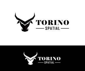 Logo Design by sarzgraphic for Torino Spatial | Design #27457394