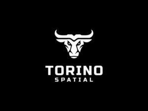 Torino Spatial | Design de Logo par beard.art