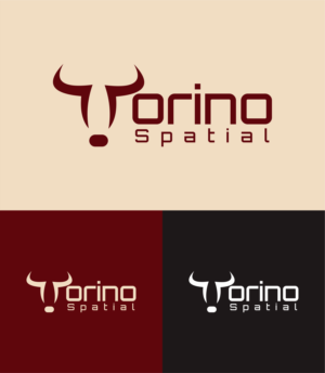 Logo Design by Faisuasu for Torino Spatial | Design #27457655