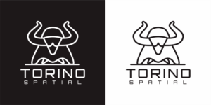 Design de Logo par Faisuasu pour Torino Spatial | Design : #27457748