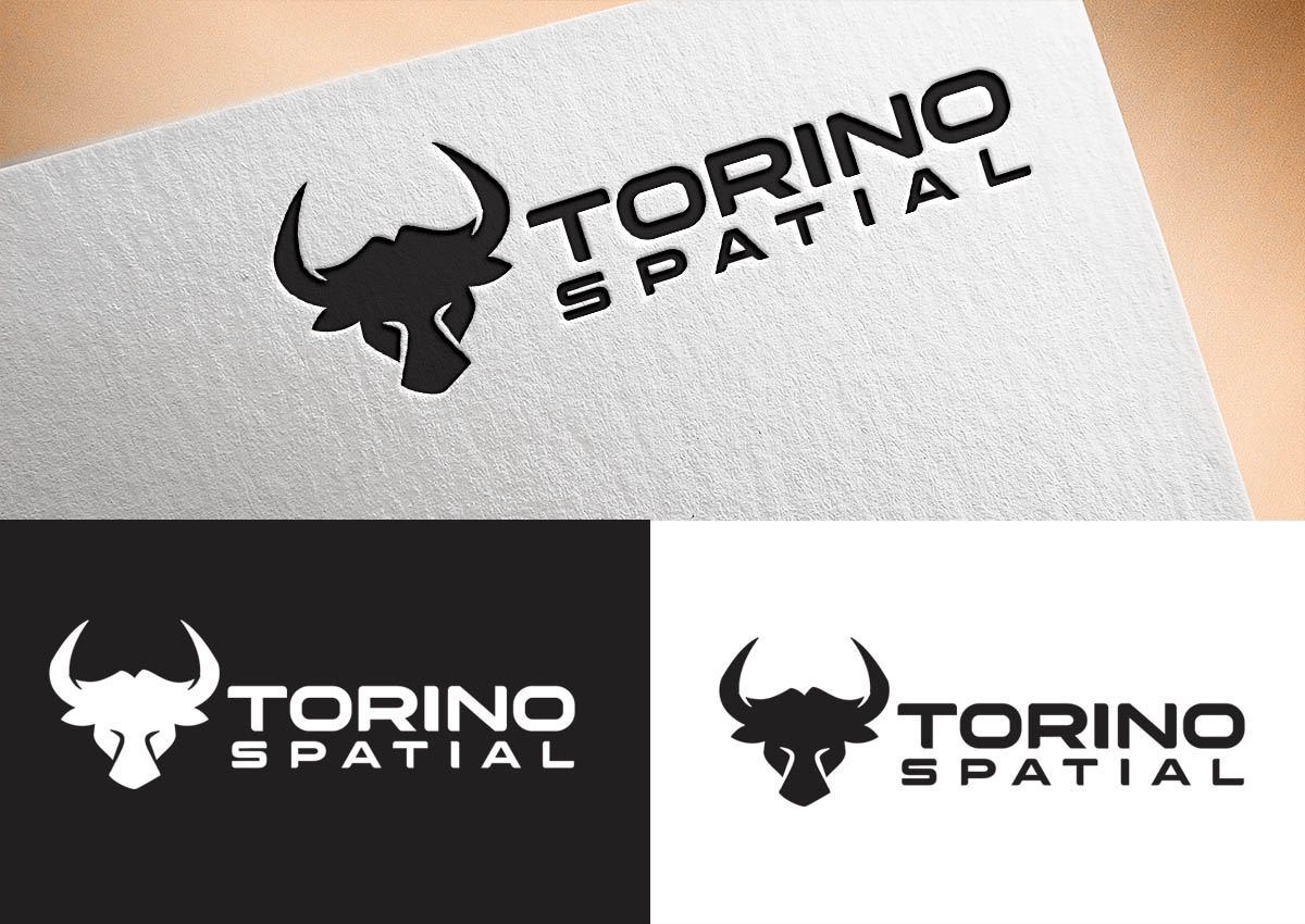 Design de Logo par Vishak vasu pour Torino Spatial | Design #27464884