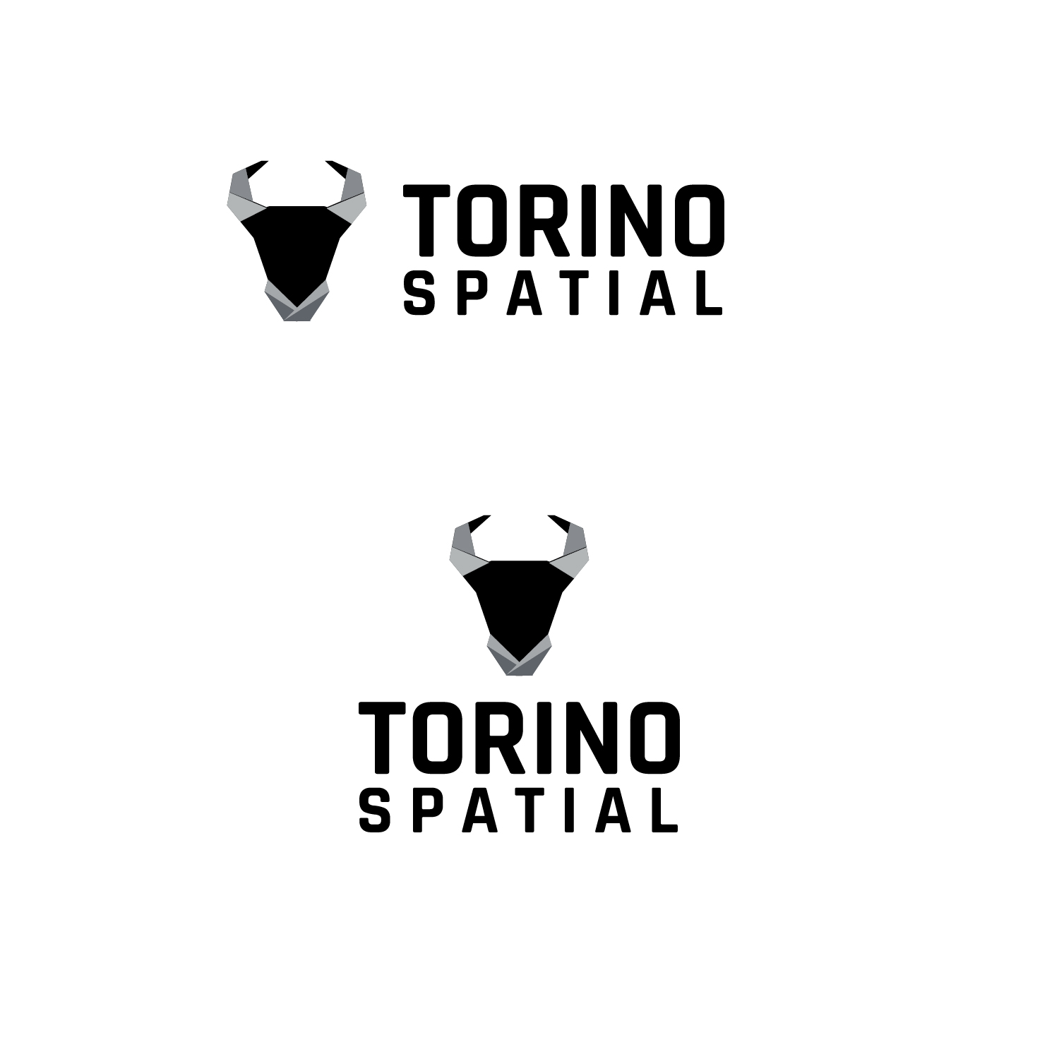 Logo Design by emptyboxgraphics for Torino Spatial | Design #27459153