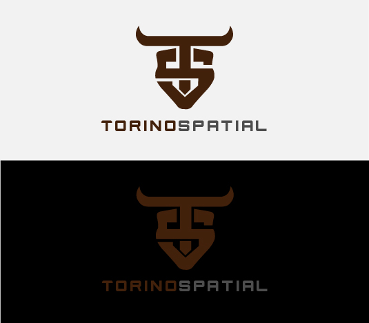 Design de Logo par got2believe pour Torino Spatial | Design #27457603