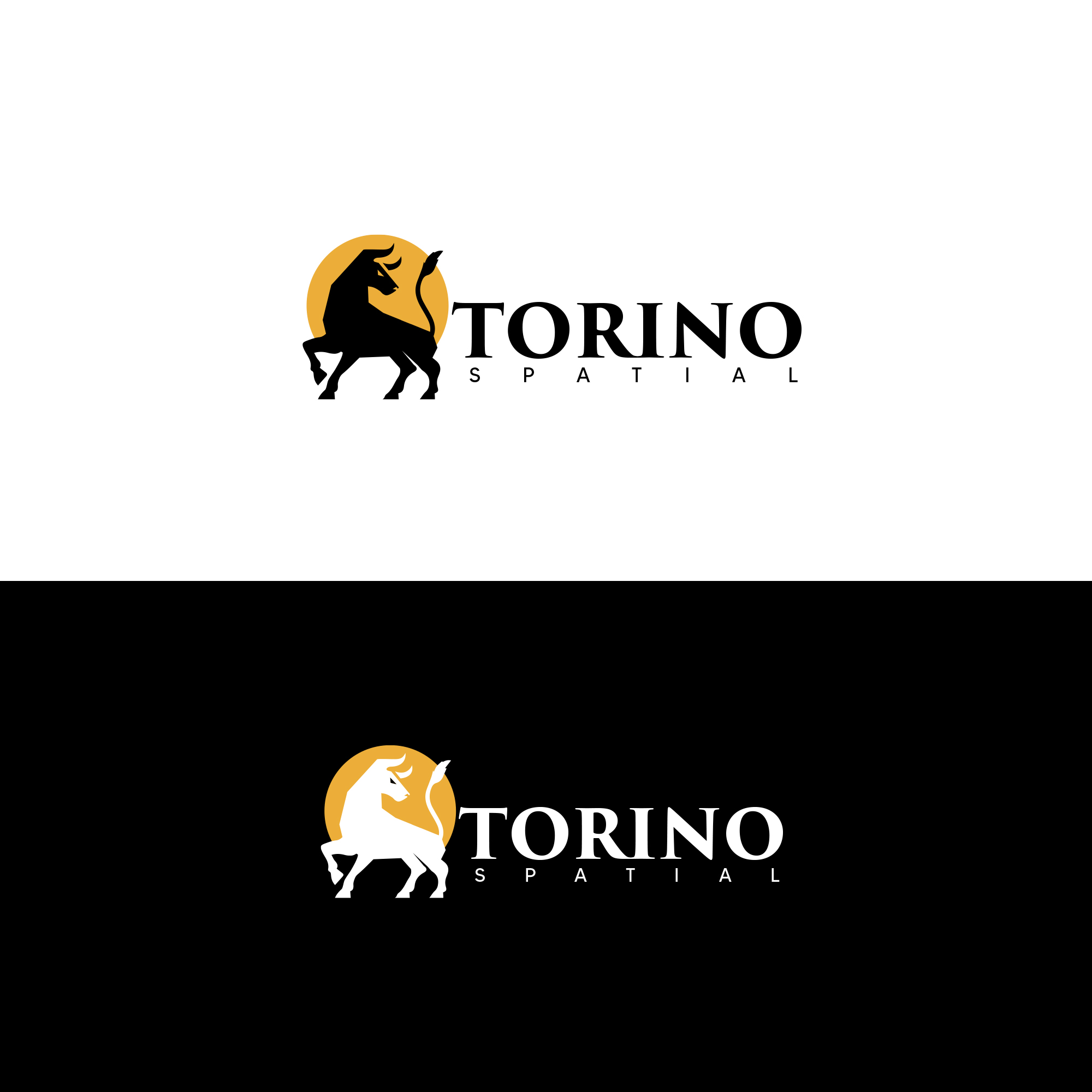 Design de Logo par DSCMedian™ pour Torino Spatial | Design #27464203