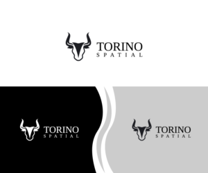 Design de Logo par fauzan harun pour Torino Spatial | Design : #27460735