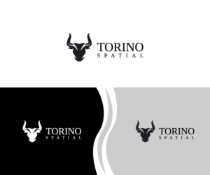 Design de Logo par fauzan harun pour Torino Spatial | Design : #27460736