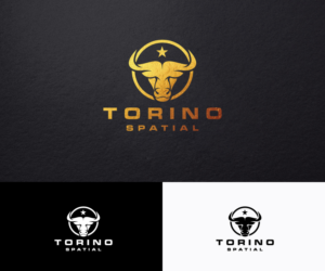 Logo Design by step forward 2 for Torino Spatial | Design: #27457741