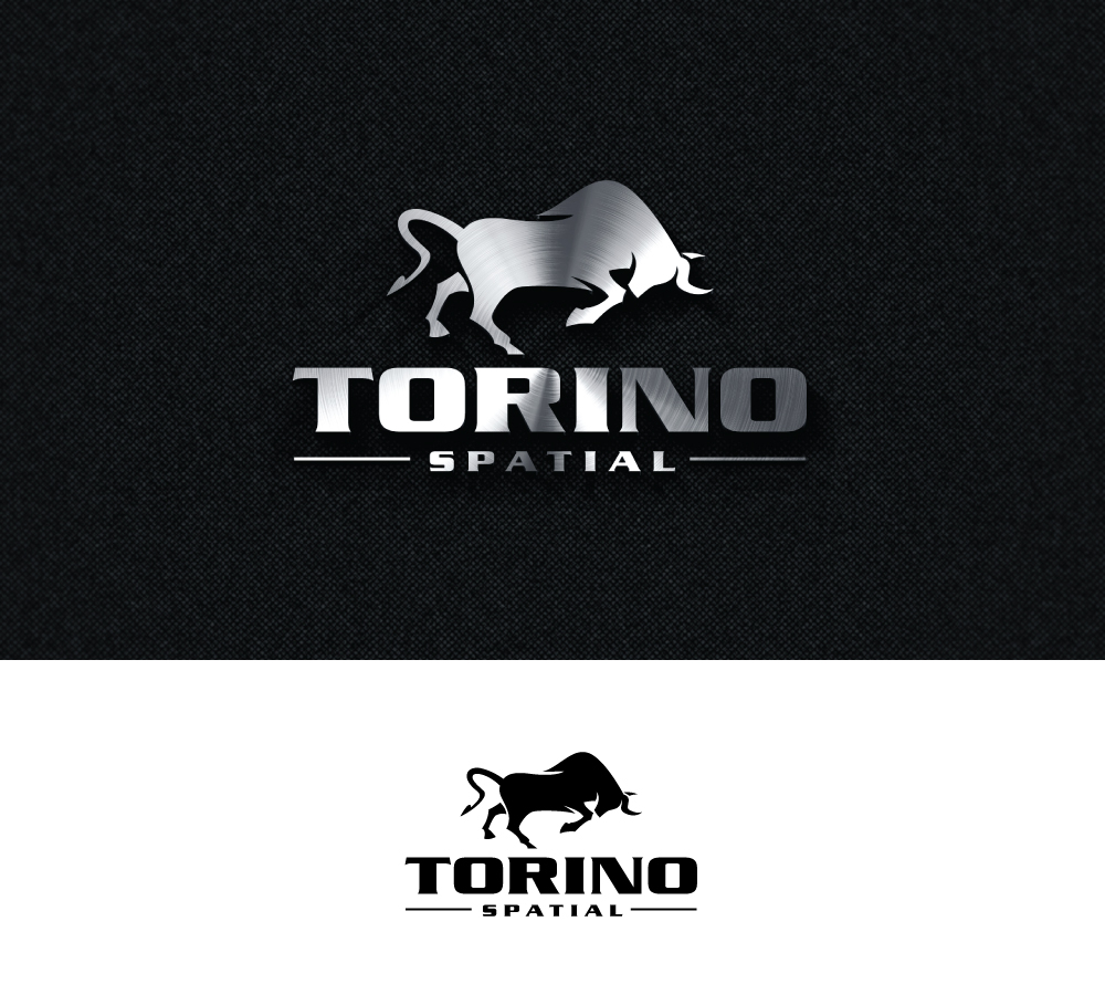 Logo Design by step forward 2 for Torino Spatial | Design #27457936
