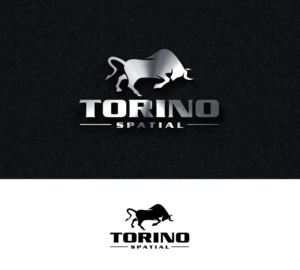 Logo Design by step forward 2 for Torino Spatial | Design: #27457936