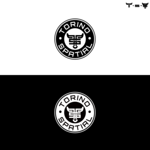 Logo Design by Radsky17 for Torino Spatial | Design: #27460321