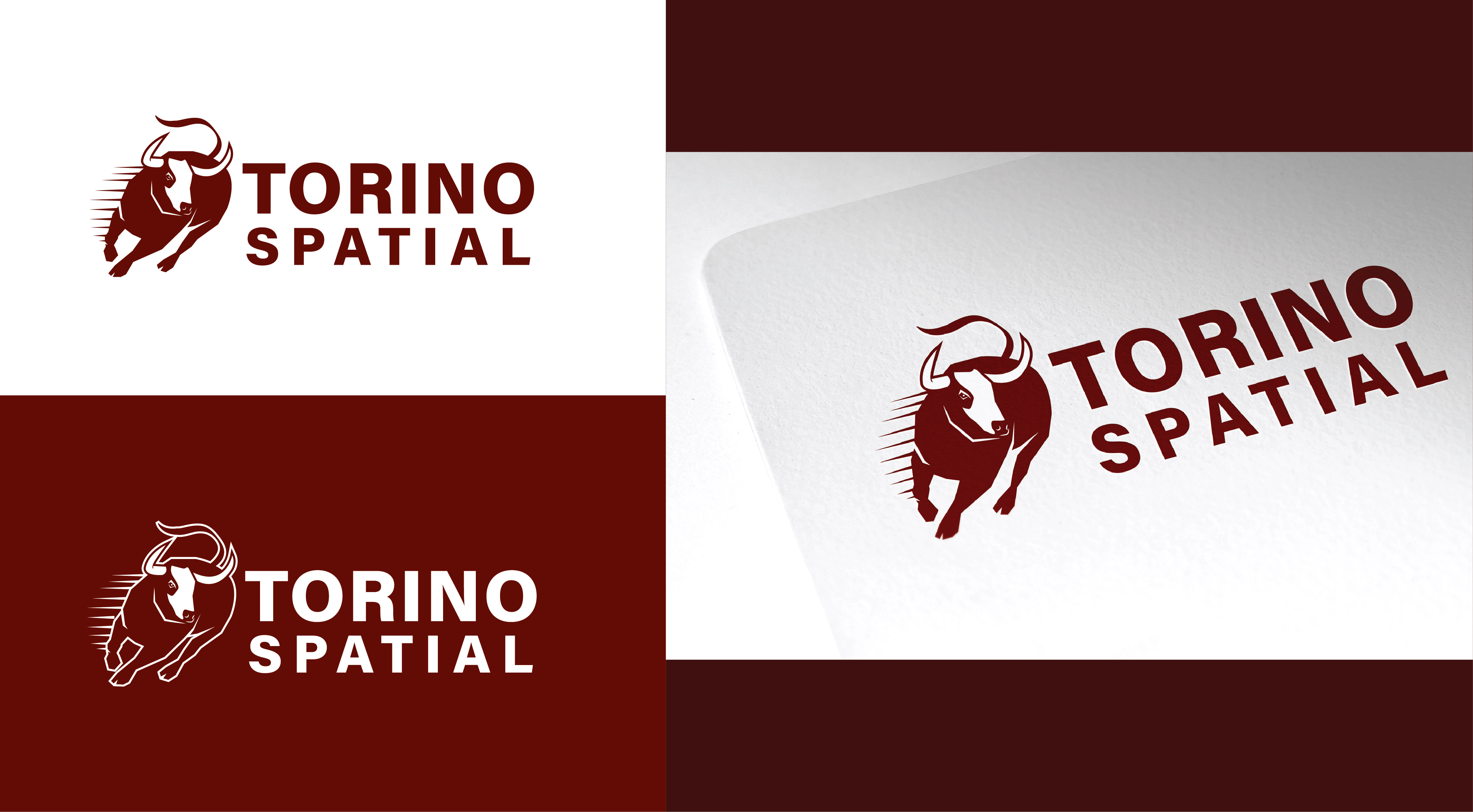 Logo Design by Mario 11 for Torino Spatial | Design #27458160