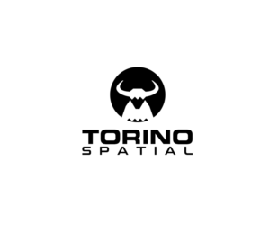 Torino Spatial | Logo Design by drekkk