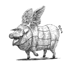 Illustration Design by Moor Ohay