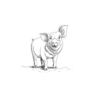 Illustration Design by MyJesus