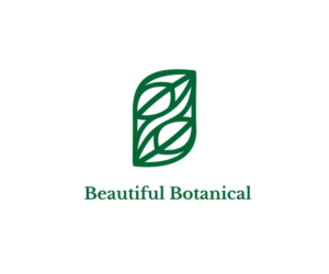 Logo Design by NS_Graphics