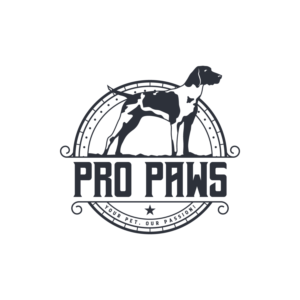 Logo Design by logoQ for this project | Design: #27470120
