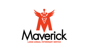 Logo Design by patriciaparadesign for this project | Design: #27504818