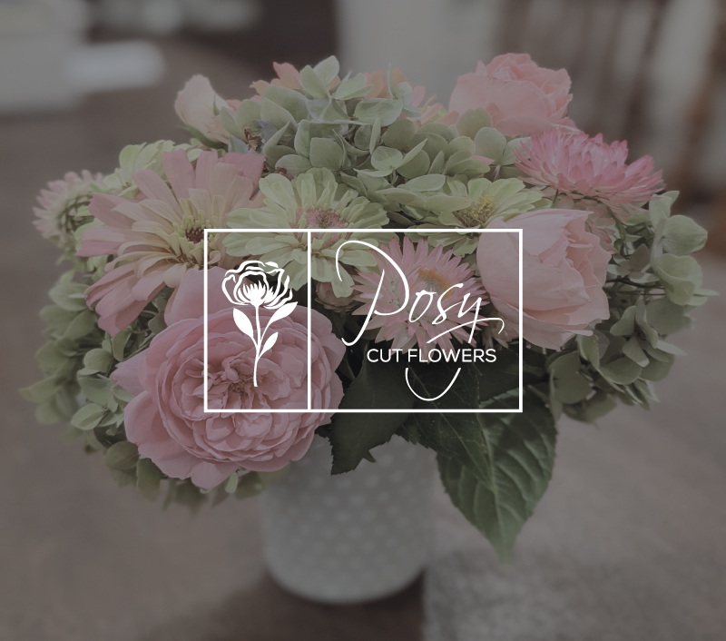Logo Design by hoaihoai for this project | Design #27501544