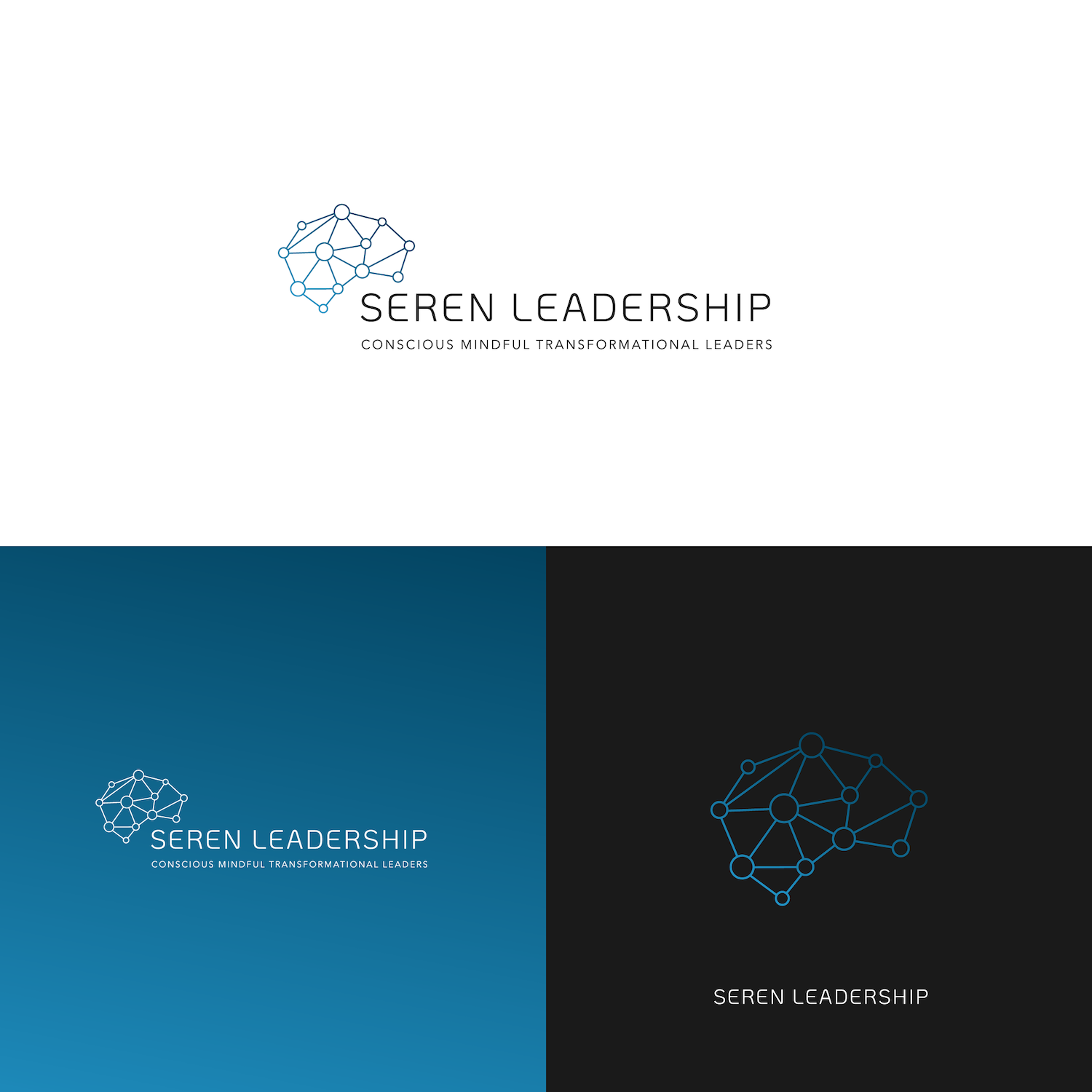 Logo Design by Matt Bradshaw for Seren CMT Ltd | Design #27479179