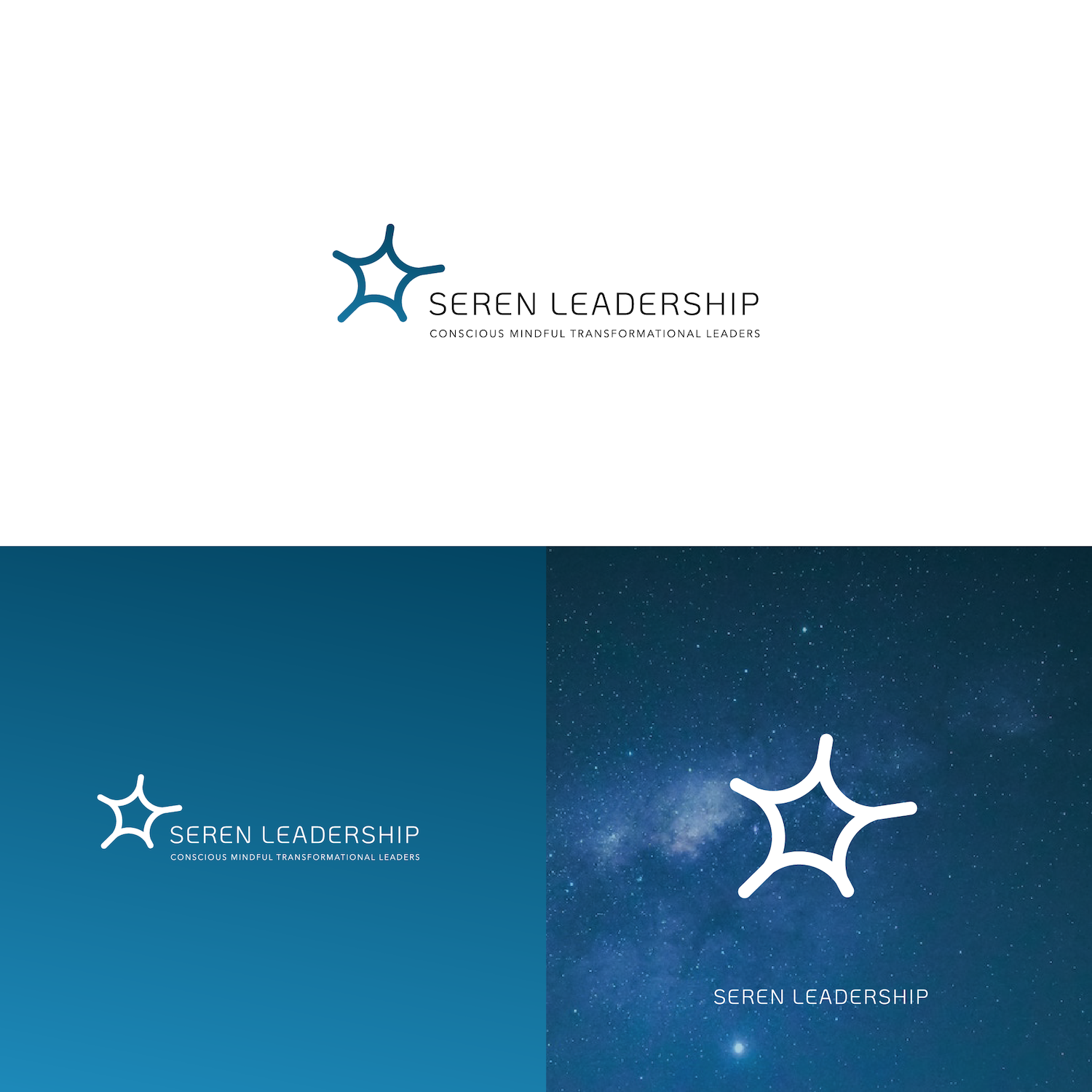 Diseño de Logo por Matt Bradshaw para Seren CMT Ltd | Diseño #27483746