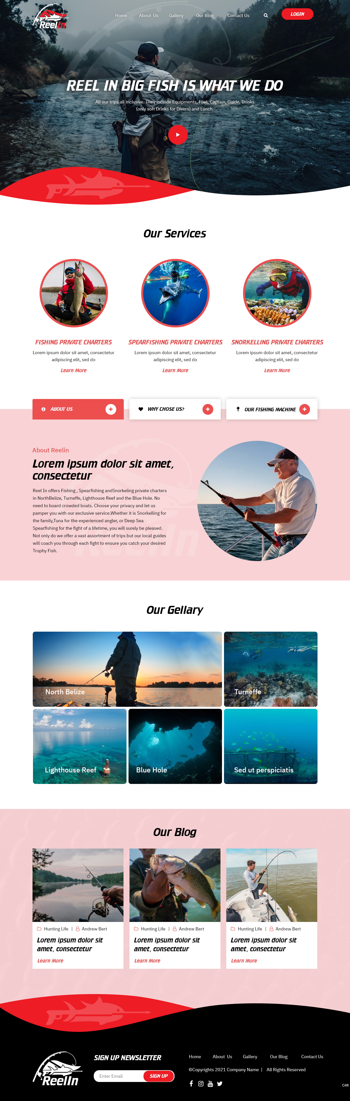 Diseño Web por pb para este proyecto | Diseño #27484526