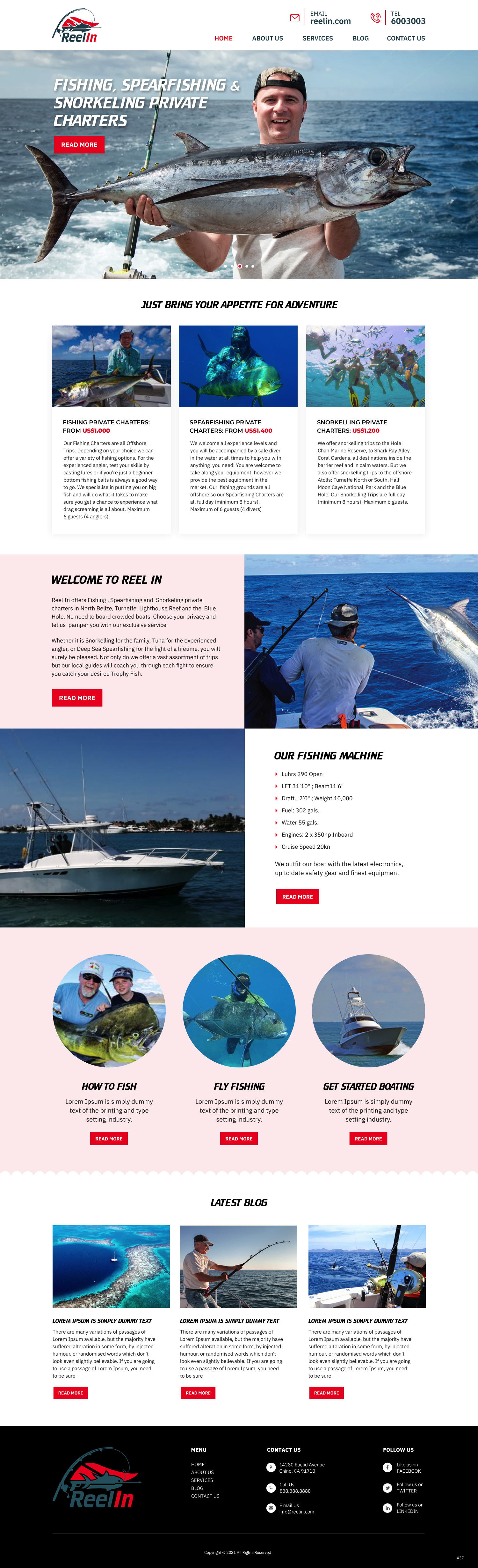 Diseño Web por pb para este proyecto | Diseño #27484527