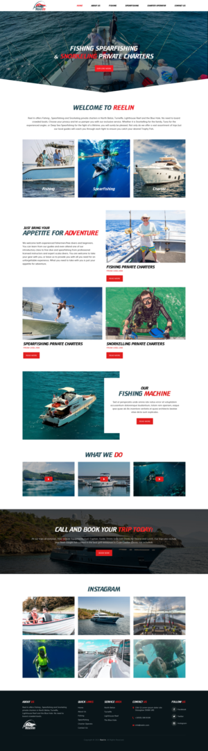 Web Design by sai.designer87 for this project | Design #27492130