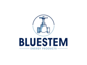 Logo Design by Ansh Design for this project | Design: #27477573