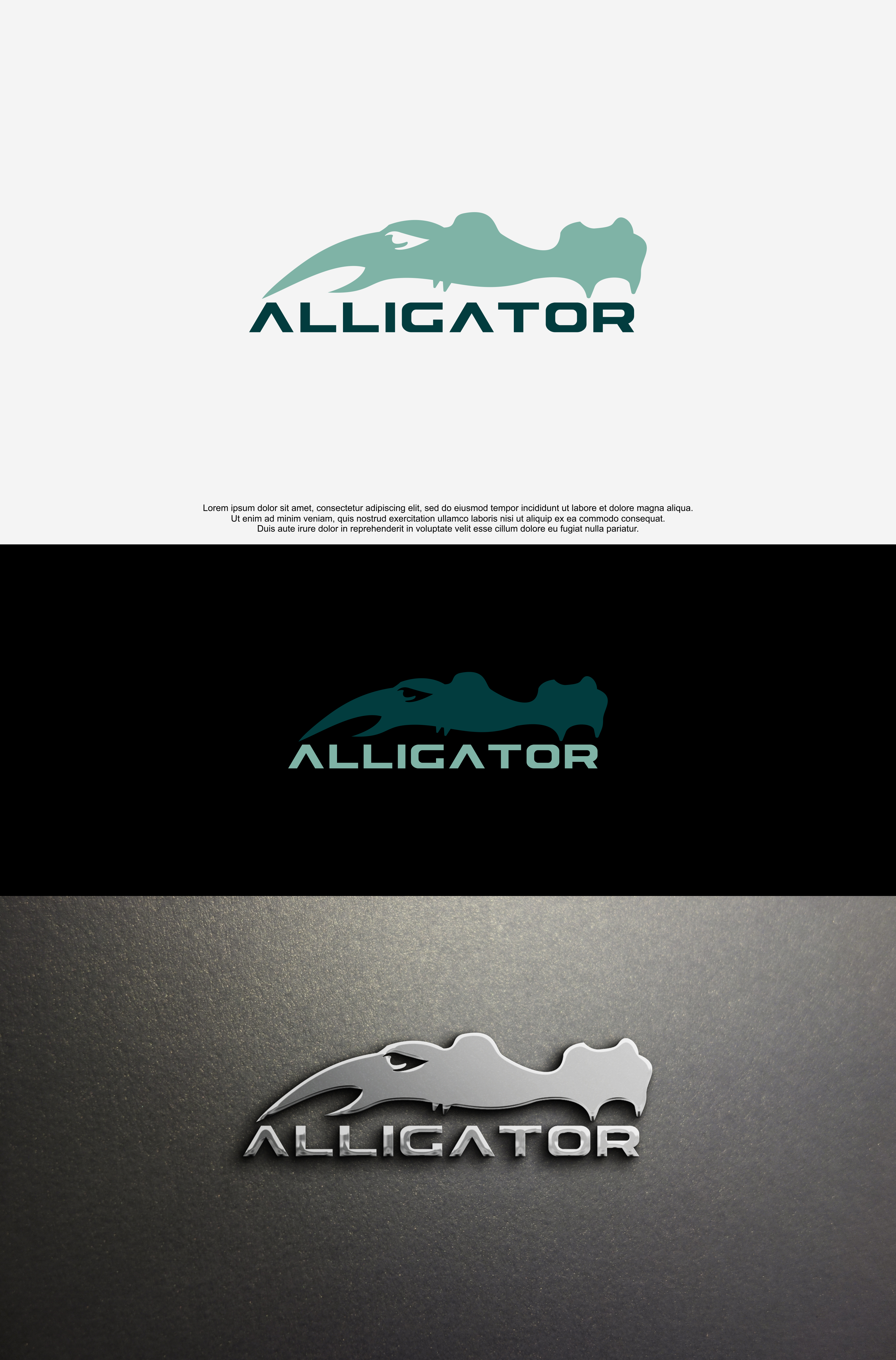 Logo Design by QILLASOFT-Design for Schacher-Hydraulik AG | Design #27550384