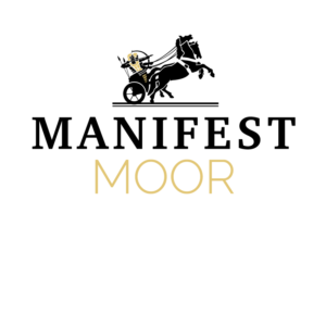 Logo Design by Enz67