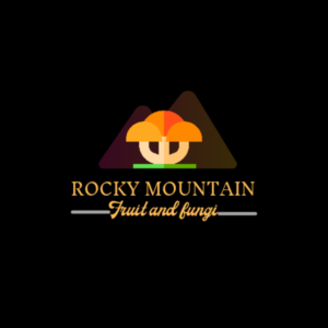 Logo Design by Graphical Era