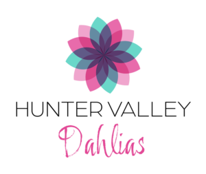 Logo Design by Tracy Smith