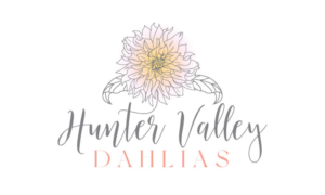 Logo Design by logoQ for this project | Design: #27485922