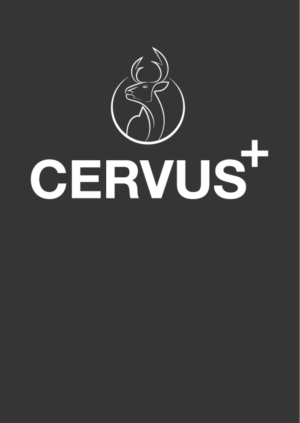 Logo Design by @gus for this project | Design: #27484933