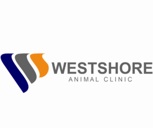 Logo Design by wigo for this project | Design: #27499477