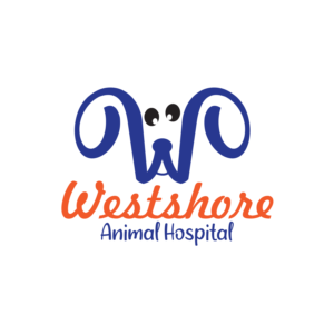 Logo Design by KreativeDesk for this project | Design: #27511428