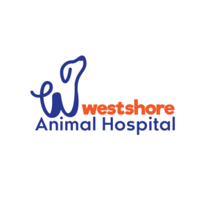 Logo Design by KreativeDesk