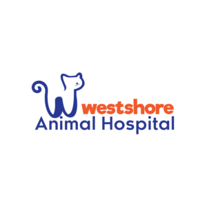 Logo Design by KreativeDesk for this project | Design: #27514755