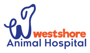 Logo Design by KreativeDesk for this project | Design: #27590749