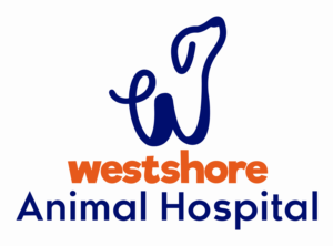 Logo Design by KreativeDesk for this project | Design: #27590750