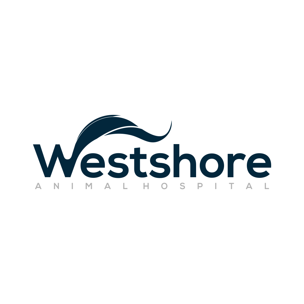 Logo Design by Gerald Design 3 for this project | Design #27494160