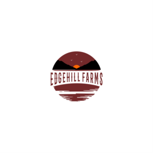 Logo-Design von SteffySummer für dieses Projekt | Design: #27493894