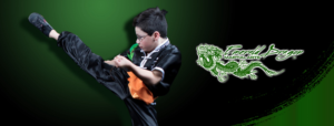 Design Graphique par UsagiRabbit pour Emerald Dragon Martial Arts Pty Ltd | Design : #27501738